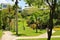 Hamilton,Bermuda - July 10, 2014: Victoria Street Cedar Avenue, Victoria Park nature with path for walking.
