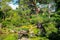 HAMILTON, NZ - FEBRUARY 25, 2015: Japanese Garden of Contemplation in Hamilton Gardens