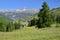 The hamlet Molines en Queyras, located in Saint Veran valley with flowers in the foreground and  Rochebrune mountain peak