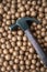 Hammer on the ground of macadamia nut with shell, base cracker. Local wisdom. Organic farm of Phu Suan Sai, Loei, Thailand.