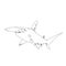 Hammer head shark hand drawn sketch illustrations of engraved l