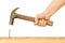 Hammer and Nail Using hammer