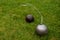 Hammer and shot put ball on the grass