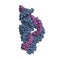 Hammerhead ribozyme, space-filling model