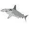 Hammerhead shark illustration