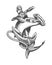 Hammerhead Shark and Ship Anchor Tattoo in Engraving Style