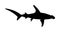 Hammerhead shark vector silhouette illustration isolated.