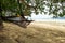 Hammock on the beach