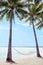 Hammock on coconut trees in tropical Island