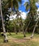 Hammock between coconut trees in tropical paradise