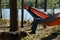 Hammock forest between trees holiday woman relax sunny wather
