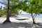 Hammock at Haad Sivalai beach on Mook island