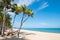 hammock hang on palm tree in tropical beach