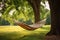 hammock hanging between two trees in a tranquil outdoor space