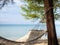 The hammock hung on the tree. On the background are the sea and the beach