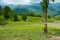 Hammock mesh hanging on a background of high-mountain tea plantation