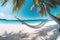 a hammock with a palm tree hanging on a beach