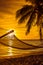 Hammock with palm trees on a beautiful beach at sunset