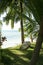 hammock on palm trees philippines beach