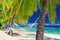 Hammock between palm trees on a tropical beach, Rarotonga, Cook