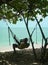 Hammock Reader Coral Beach