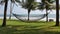 Hammock and the sea with coconut tree