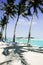 Hammock slung between tall swaying palms in shade by waters edge on Aitutaki Island