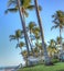 Hammock strung between palm trees overlooking the ocean
