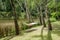 Hammock strung between trees