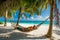 hammock swaying gently between two palm trees, overlooking a pristine white sandy beach