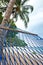 Hammock swaying by the palm tree at a seaside resort