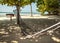 Hammock on tropic beach