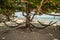 Hammock on tropic beach