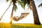 Hammock on tropical palm trees overlooking the mountains