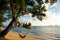 Hammock under leaning tree