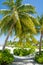 Hammock under the palm trees at the tropical beach at Maldives