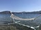 Hammock in the water on the beach