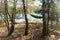 Hammocks hang on trees on hilly riverbank in autumn forest