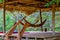 Hammocks hanging from a thatched gazebo surrounded by greenery under the sunlight at daytime