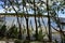 Hammocks in Lagoinha Lagoon, Ceara, Brazil