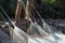 Hammocks on tropical beach.