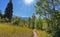 Hamongog hiking trail views Lone Peak Wilderness, Wasatch Front Rocky Mountains, Alpine, Utah.