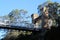 Hampden Bridge Kangaroo Valley From Underneath