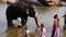 HAMPI, INDIA - APRIL 2013: People and elephant bathing in river