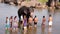 HAMPI, INDIA - APRIL 2013: People and elephant bathing in river