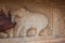 Hampi Vittala Temple Carving of a mighty male elephant tied on a pillar