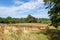 Hampstead heath magnificent nature inside the park. Beautiful sky blue weather with clouds