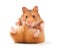 Hamster