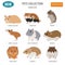 Hamster breeds icon set flat style isolated on white. Pet rodent