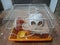 Hamster cage for play